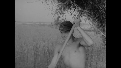 1954-Hay Harvest / Postwar Period / Germany / 1954 Stock Footage