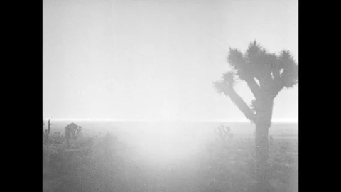 1955-Atomic Bomb Testing / Nevada / USA / 1955 Stock Footage 77826915