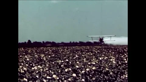 1955 - Delta Puffer crop-dusters are seen at work. Stock Footage 85953049
