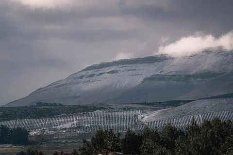 A beautiful landscape view of trees under snow cliffs against a gray sky in Matroosberg, South Africa xkwx abstract, background, beautiful, beauty, blue, cloud, clouds, geology, hill, landscape, Matroosberg, natural, nature, outdoor, outdoors, rock, scenic, sky, snow, South Africa, stone, sunny, texture, travel, tree, trees, view, water, white, winter