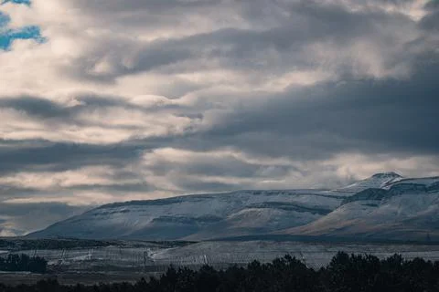 A beautiful landscape view of trees under snow cliffs against a gray sky in Matroosberg, South Africa xkwx abstract, background, beautiful, beauty, blue, cloud, clouds, geology, hill, landscape, Matroosberg, natural, nature, outdoor, outdoors, rock, scenic, sky, snow, South Africa, stone, sunny, texture, travel, tree, trees, view, water, white, winter