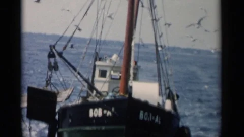 1956: Seagull Flock Hovers Over and Lands on Fishing Boat, Cape Cod Stock Footage 73158339