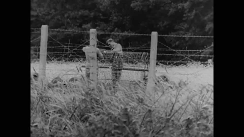 1956 - Soviet aggression has a death toll in Budapest, Hungary (narrated in 스톡 동영상 226848250