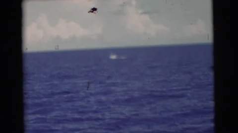 1956: unknown animals splashing in ocean in distance FLORIDA Stock Footage