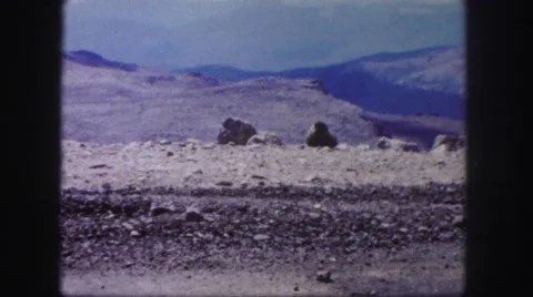 1958: dry rocky terrain car drives up barren road landscape COLORADO Stock Footage