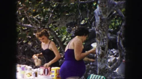 1958: a forest area is seen AMES, IOWA Stock Footage