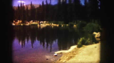 1958: a forest area is seen COLORADO Stock Footage