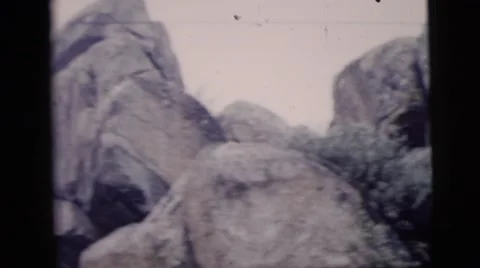 1958: a hilly area is seen with trees and greenery NEW YORK CITY Stock Footage