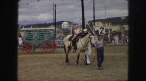 1958: horses are seen running AMES, IOWA Stock Footage