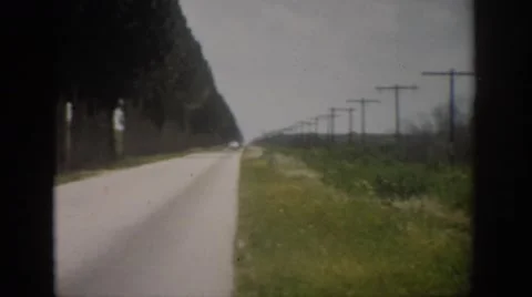 1959: A Row of Lush Full Trees Lines a Country Road Florida Stock Footage 68669935