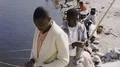 1960s African American Black People Fishing Catching Vintage Old Film Home Movie HD Footage