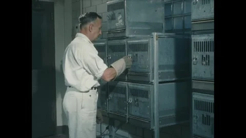 1960s: Animal testing lab.  Man removes ferret from cage.  Men look at ferret.  Stock Footage 277613452