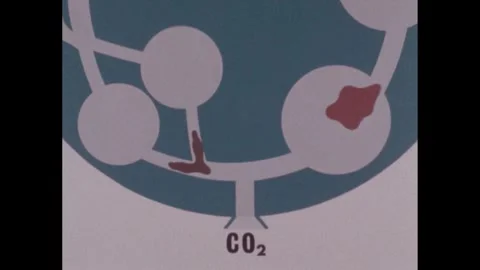 1960s: Animation. Blobs move through se... | Stock Video | Pond5