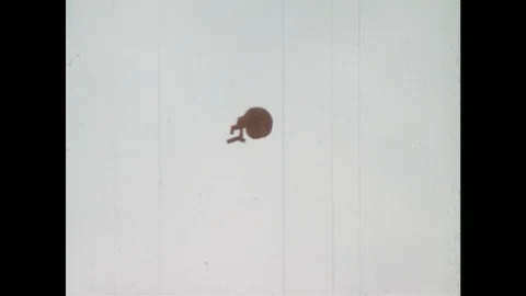 1960s: Animation of irregular shapes. Shape is trapped in a box and crumbles. Stock Footage 94210256