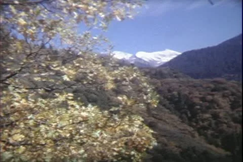 1960's archive- Stock Footage 20470237