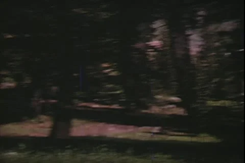 1960's archive- Stock Footage 20471742