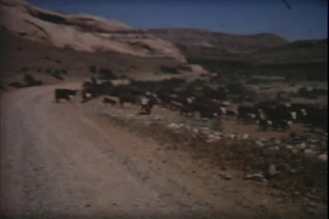 1960's archive- Stock Footage 20472104