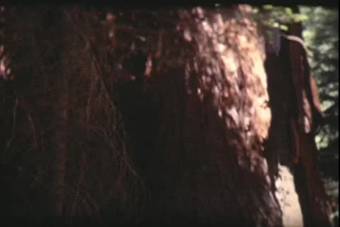 1960's archive- Stock Footage 20472115