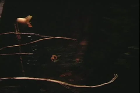 1960's archive- Stock Footage 20472134