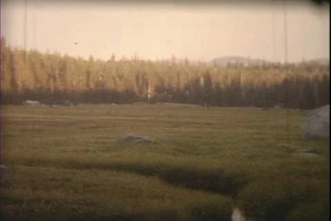 1960's archive- Stock Footage 20472164