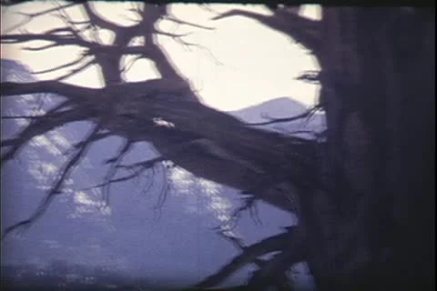 1960's archive- Stock Footage 20472222