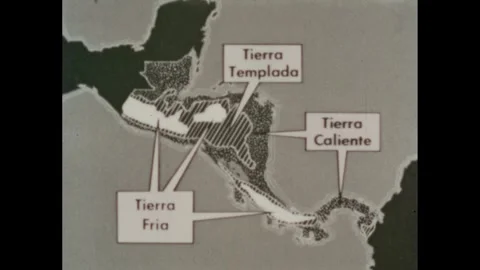 1960s: Bag of coffee beans being labeled for their destination. Map of central Stock Footage 260766021