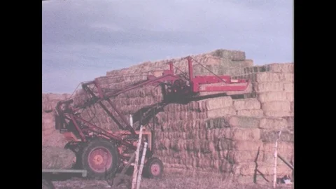 1960s: Bale fork and tractor lift bales off pyramid stack to flatbed. Stock Footage 77774466
