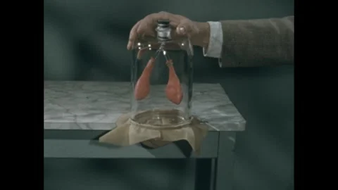 1960s: Balloons inflate to illustrate lung function. Stock Footage 257363256