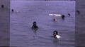 1960s Black African American Black Kids Play at Beach Vintage Film Home Movie HD Footage