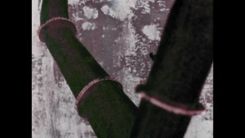 1960s: Cat chasing mouse around pipe. Mouse talking through window. Cat chasing Stock Footage 270837557