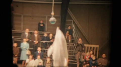 1960s. Dolphin.Vintage Video stock 48922699