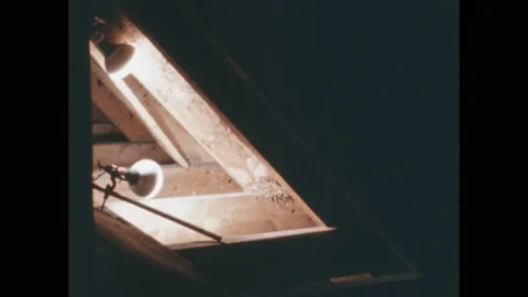 1960s: Empty barn interior. Lights shine at nest in rafters. Bird perches on Video stock 188528342