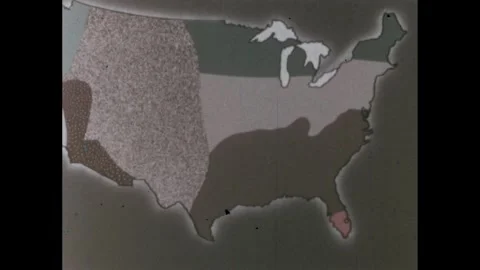 1960s: Field.  Men pick pineapples and put them on conveyor belt.  Men harvest Video stock 280856154