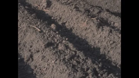 1960s: Freshly plowed rows.  Tractor pulls a plow. Stock Footage 290244596