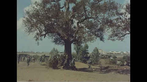 1960s: A group of soldiers march in precise formation, their disciplined steps Stock Footage 153233382