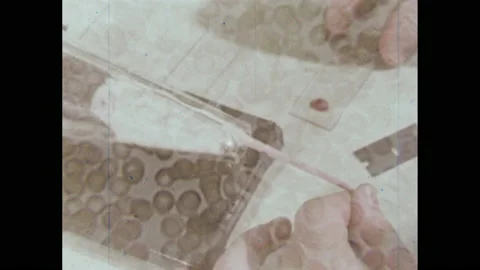 1960s: Hands take sample of blood from mouse's tail. Magnified view of blood Vídeo Stock 149643270