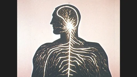 1960s: human head and brain nervous system map blinks and glows. man talks by Stock Footage 76593899