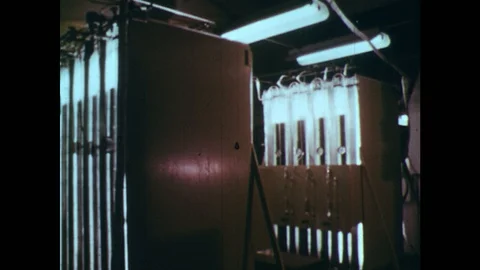 1960s: Large tubes of liquid lined in rows in laboratory as part of experiment. Stock Footage 119505134