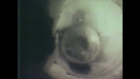 1960s: Liquid moves in zero gravity. Man speaks about liquid experiments in zero Video stock 84654803