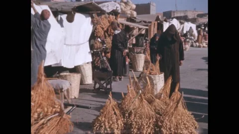 1960s: Man harvests dates from palm tree.  Woman unloads produce at market.  Stock Footage 166466828