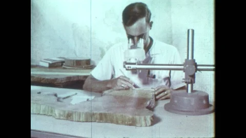 1960s: Man looks through miscroscope at tree rings, moves pointer across rings. Stock Footage 92502312