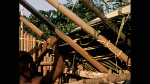 1960s: Man ties split palm fronds to boards on a roof. Men apply mud to exterior Stock Footage 224164534