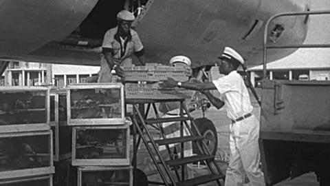 1960s Men Unload Cargo Plane Aircraft Freight Rush Shipment Vintage Film Movie 스톡 동영상 76640484
