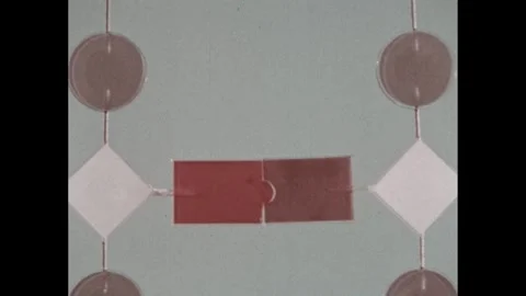 1960s: Middle section of ladder model of DNA, person pulls apart connections. Stock Footage 295213689