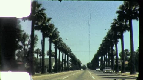 1960s Palm Trees Driving Down Sunset Blvd So California Vintage Film Home Movie Stock Footage