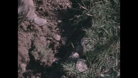 1960s: Person uses pickaxe to dig up grass sod and rocks. Stock Footage 246516897
