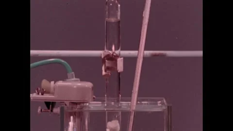 1960s: Plant hangs upside down in beaker.  Test tube mounted on beaker.  Person Stock Footage 257364828