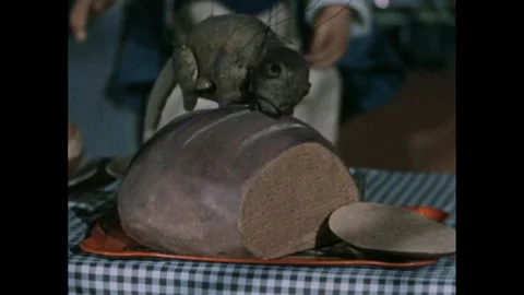 1960s: Puppet show.  Rat on loaf of bread.  Woman chases rat away. Stock Footage 247781014