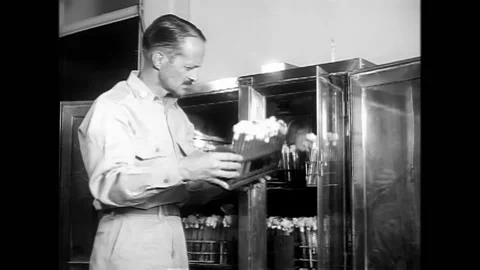 1960s - Scientists study chromatography, parasites, immunology, and radiation at Stock Footage 155856447