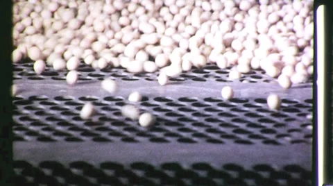 1960s Soybean Grain Food Processing Plant Factory Vintage Industrial Movie Film Stock Footage 8960474